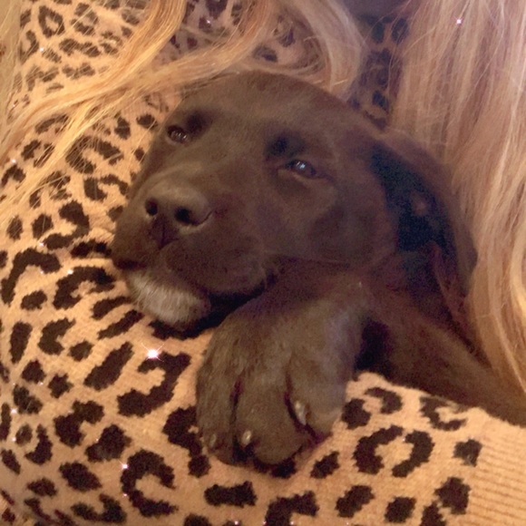 Meet your Posher, Jess - Picture 2 of 6